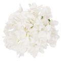 Konstgjord hortensia med lång