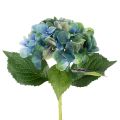 Floristik24 Konstgjord hortensia, blågrön, dekorativ enkel stjälk, 53 cm