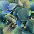 Konstgjord hortensia, blågrön, dekorativ enkel stjälk, 53 cm | Floristik24.se