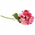Floristik24 Konstgjord hortensia rosa 36cm