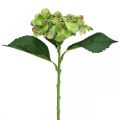 Floristik24 Konstgjord hortensia, blomsterdekoration, sidenblomma grön L44cm