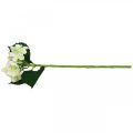 Floristik24 Hortensia, sidenblomma, konstgjord blomma för bordsdekorationer vit, grön L44cm
