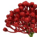Floristik24 Hydrangea bud pick 22cm röd 12st