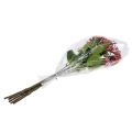 Floristik24 Hortensia knopp gren 55cm rosa 6st