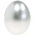 Floristik24 Kycklingägg Silver Påskdekoration Blåsta ägg 10st