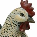 Floristik24 Dekorativa figurer påsk, kycklingar 2 st
