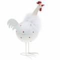 Floristik24 Kyckling vit med prickar 21cm