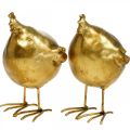 Floristik24 Deco kyckling påskdekoration figur gyllene rund, H10 cm 2st