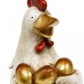 Floristik24 Påskkyckling, dekorativ höna, kyckling med guldägg, påskfigur H24cm