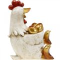 Floristik24 Påskkyckling, dekorativ höna, kyckling med guldägg, påskfigur H24cm