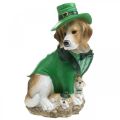 Floristik24 Beagle i hatt St. Patrick&#39;s Day Hund i kostym Trädgårdsdekor Hund H24,5 cm