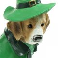 Floristik24 Beagle i hatt St. Patrick&#39;s Day Hund i kostym Trädgårdsdekor Hund H24,5 cm