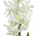 Floristik24 Konstgjord hyacint med lök konstgjord blomma vit att sticka 29cm