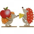 Höstfigur, igelkott med äpple och svamp, trädekoration orange / röd H24 / 23,5cm uppsättning med 2