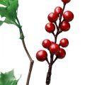 Floristik24 Ilex Artificiell Holly Berry Branch Röda bär 75cm