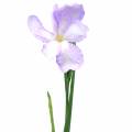 Floristik24 Iris konstgjord lila 78cm