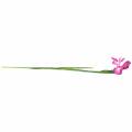 Floristik24 Iris konstgjord rosa 78cm