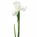 Iris konstgjord vit 78cm