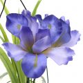 Floristik24 Iris lila i ett glas för att hänga H21,5cm