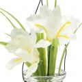 Floristik24 Iris vit i ett glas för att hänga H21,5cm