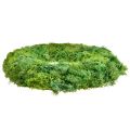 Floristik24 Islandsmossa krans väggdekoration naturlig krans grön konserverad Ø34cm