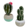 Floristik24 Kaktusar i grytmix H13cm 4st