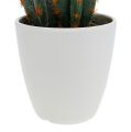 Floristik24 Kaktusar i kruka konstgjorda 20cm