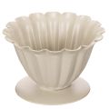 Floristik24 Skål, bägare, blomfoder, krämfärgad dekoration, 9 cm