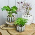 Floristik24 Keramikkruka, konstfull planteringskruka, planteringskruka turkos, beige, brun Ø11,5cm H9cm 2st