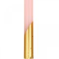 Trädljus pyramidljus rosa, gyllene ljus H105mm 10p