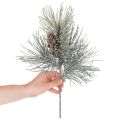 Konstgjord tallgren med kottar, vinterig, 40 cm | Floristik24.se