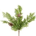Floristik24 Konstgjord tallgren med kottar, snötäckt, 28 cm, 6 stycken