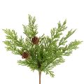 Floristik24 Konstgjord tallgren med kottar, 28 cm, 6 stycken