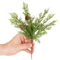 Konstgjord tallgren med kottar, 28 cm, 6 stycken | Floristik24.se