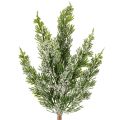 Floristik24 Konstsnötäckt tallkvist för blomsterarrangemang och adventsdekorationer, 40 cm, 3 stycken