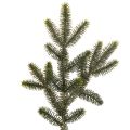 Floristik24 Konstgjord grangren för bordsdekoration och arrangemang, 45 cm, 3 stycken