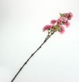 Floristik24 Körsbärsröd blomgren i rosa 77cm