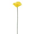 Floristik24 Konstgjorda blommor Gerbera gul 45cm