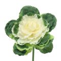 Floristik24 Konstgjord dekorativ kål vit, grön 25 cm 6st