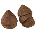 Floristik24 Kokosskål dekoration naturliga halva kokosnötter Ø7-9cm 5st