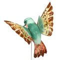 Floristik24 Hummingbird med tråd 5,5cm L22cm assorterad 12st