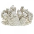 Floristik24 Maritim dekor korallvit konstgjord polyresin liten 13,5x12 cm