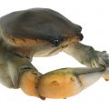 Floristik24 Dekorativ krabba och hummer 11cm - 15cm