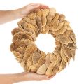 Trädsvampkrans, naturlig färg, för dörr- eller väggdekoration, 37 cm | Floristik24.se