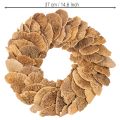 Trädsvampkrans, naturlig färg, för dörr- eller väggdekoration, 37 cm | Floristik24.se