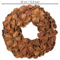 Torkad lotuskrans, dekorativ dörrkrans, 35 cm | Floristik24.se
