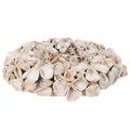 Krans med lotusblomma,