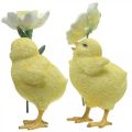 Floristik24 Glad påsk kycklingar, kycklingar med blommor, påskbordsdekorationer, dekorativa kycklingar H11/11,5 cm, set om 2
