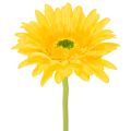 Floristik24 Konstgjorda gerberablommor, solgula, trädgårdsblomma, 47 cm, 6 stycken