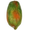 Floristik24 Konstgjord papaya 13 cm och 14 cm gul, grön 2st